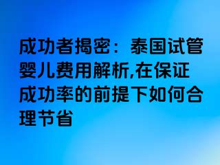 成功者揭密：泰国试管婴儿费用解析,在保证成功率的前提下如何合理节省