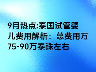 9月热点:泰国试管婴儿费用解析：总费用万75-90万泰铢左右